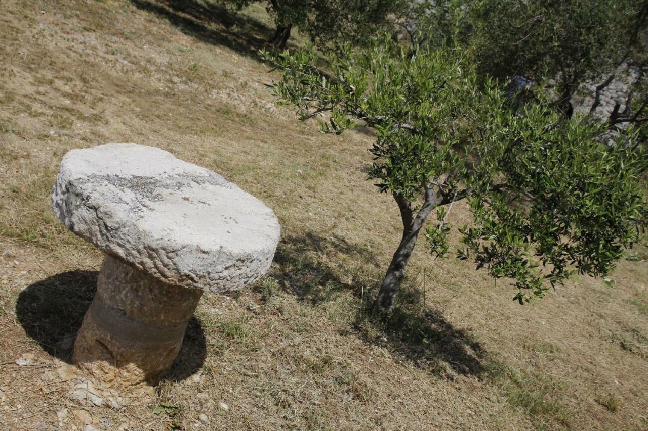 Villa Kuca Za Odmor Jelena à Starigrad Paklenica Extérieur photo