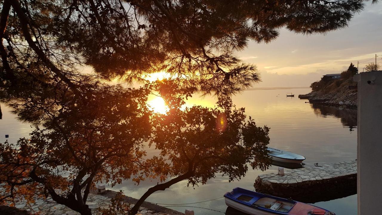Villa Kuca Za Odmor Jelena à Starigrad Paklenica Extérieur photo
